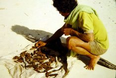 (c) Milda Drueke. Seenomade der Bajo in Indonesien Om Lahali
