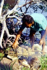 (c) Milda Drueke. Seenomade der Bajo in Indonesien Om Lahali