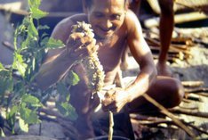 (c) Milda Drueke. Seenomade der Bajo in Indonesien Om Lahali