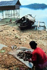 (c) Milda Drueke. Seenomade der Bajo in Indonesien Om Lahali